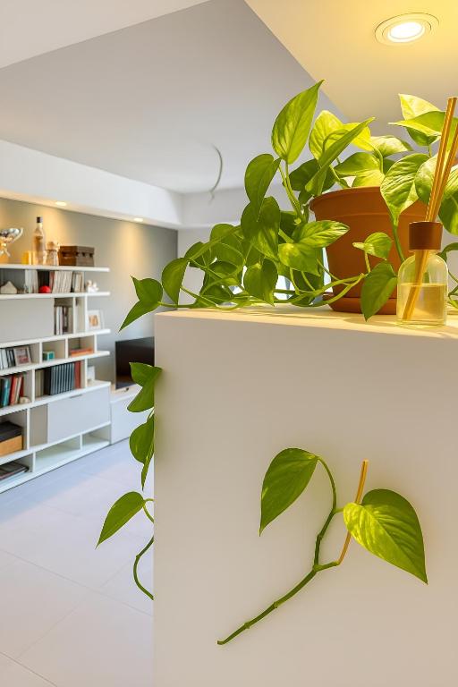 Brindisi's Finest Luxury Apartment - 5