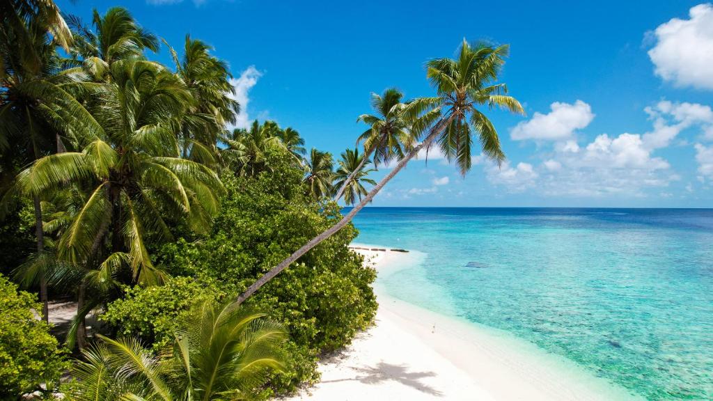 오시 부티크 객실 발코니 뷰