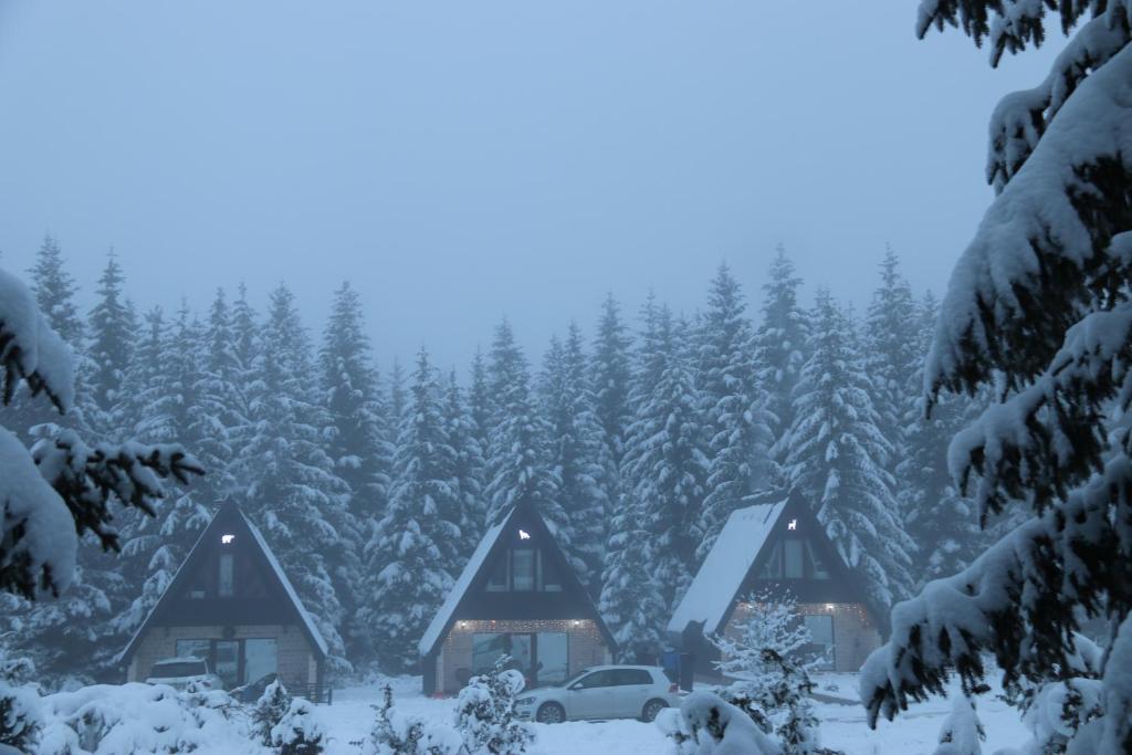 Wild Lodges - 3
