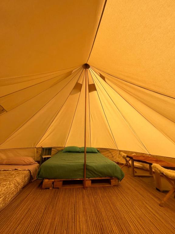Glamping Peumayen carpintero - 2