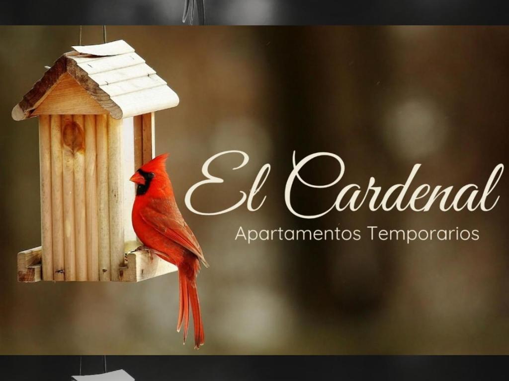Departamento 3, El Cardenal, Sinsacate - 1