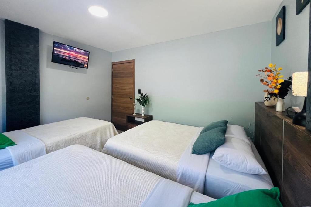 Apartment 5 with Jacuzzi in the center - 3 Bedroom 2 Bath - 4
