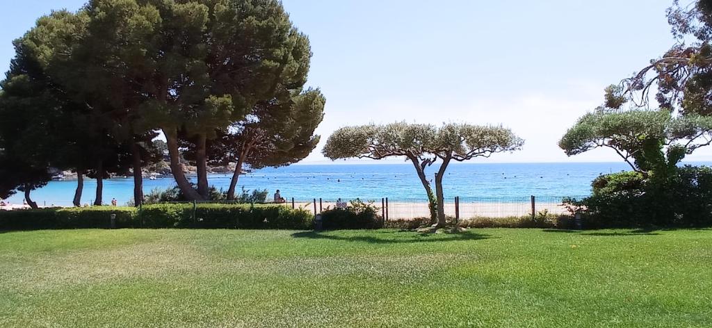 Bel appartement bord de plage - 1