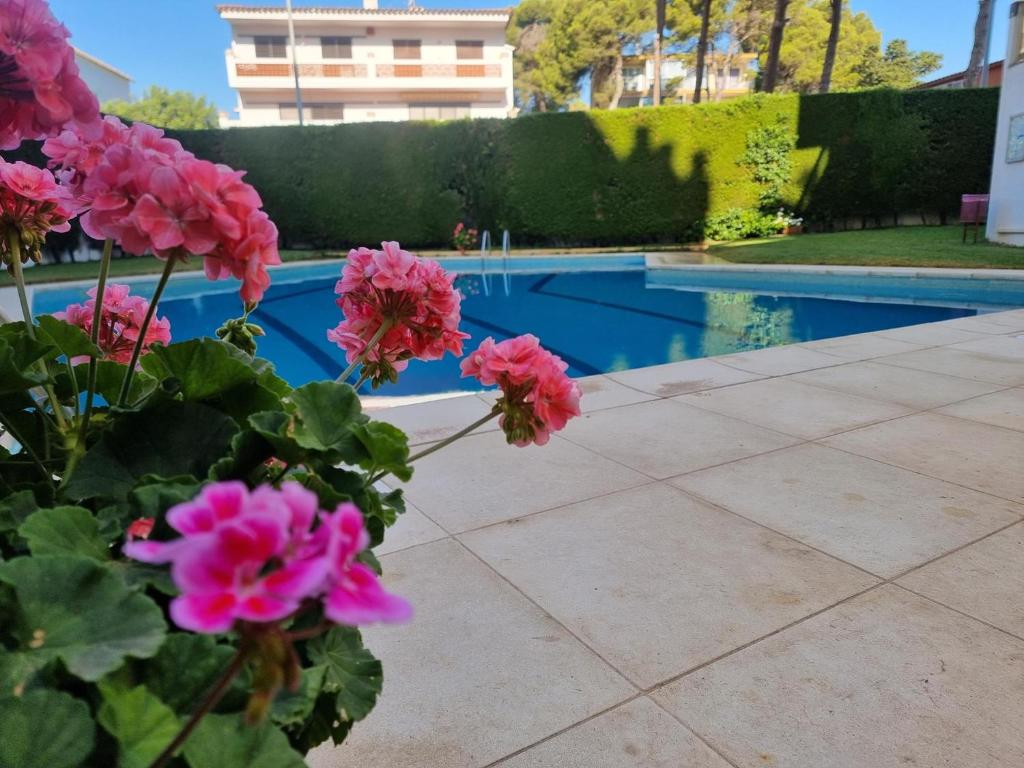 Apartamento cómodo con terraza a 200 m de la playa - HISP-236-176 - 3