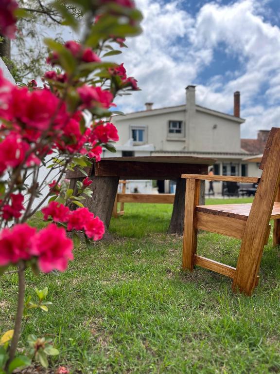 Platinum House Carrasco - 1
