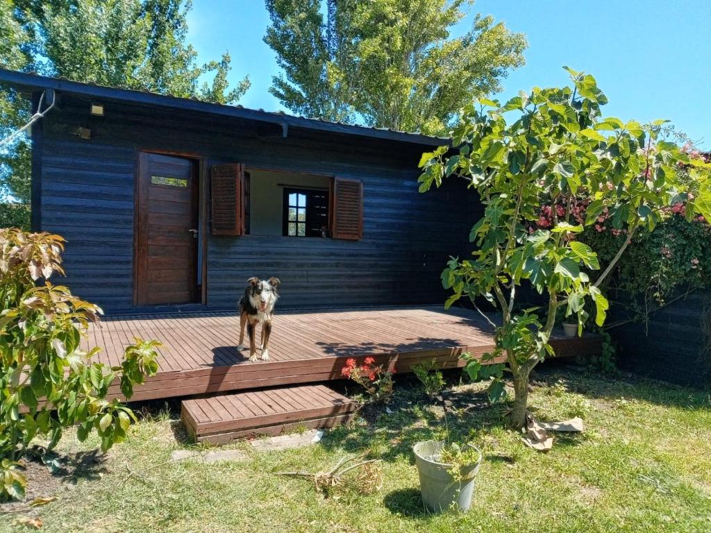 Casa Nina - 2