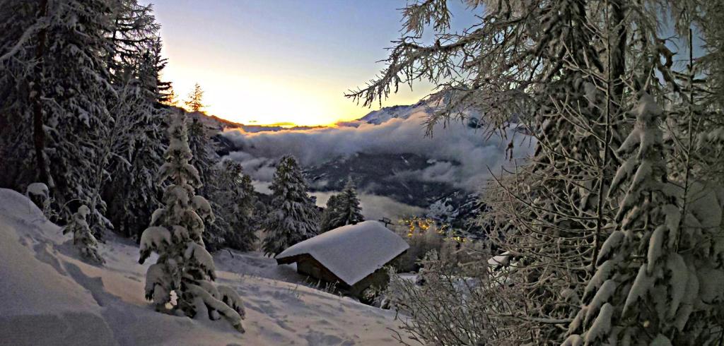 Les Hauts du Pâquier - 4