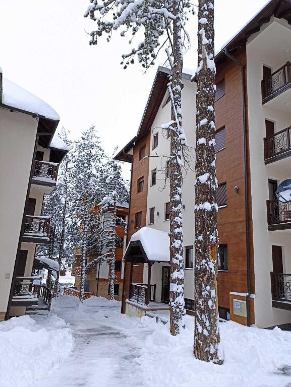 Apartman Pahulja3 - 2
