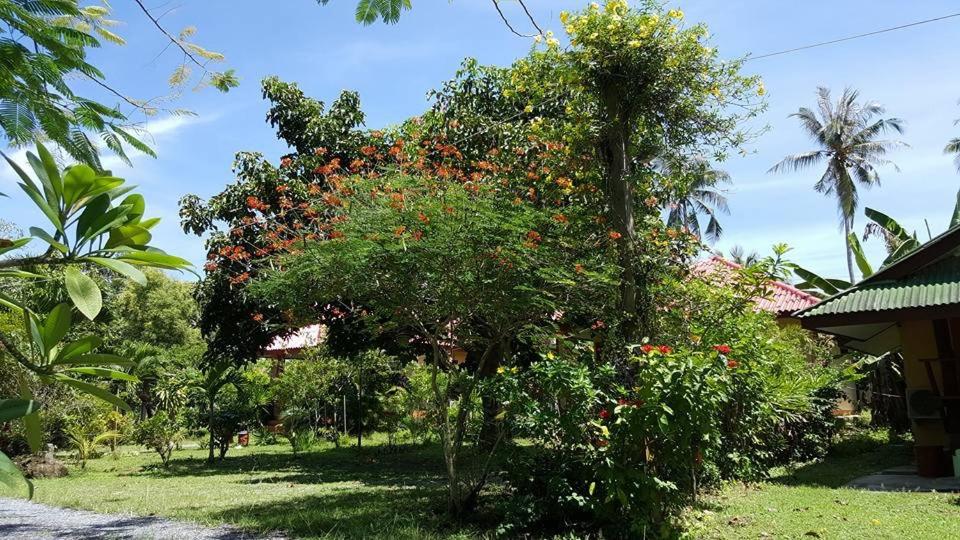 Surrounding environment