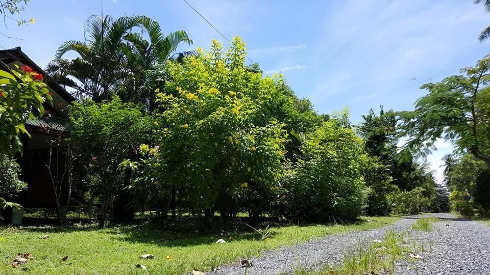 Surrounding environment