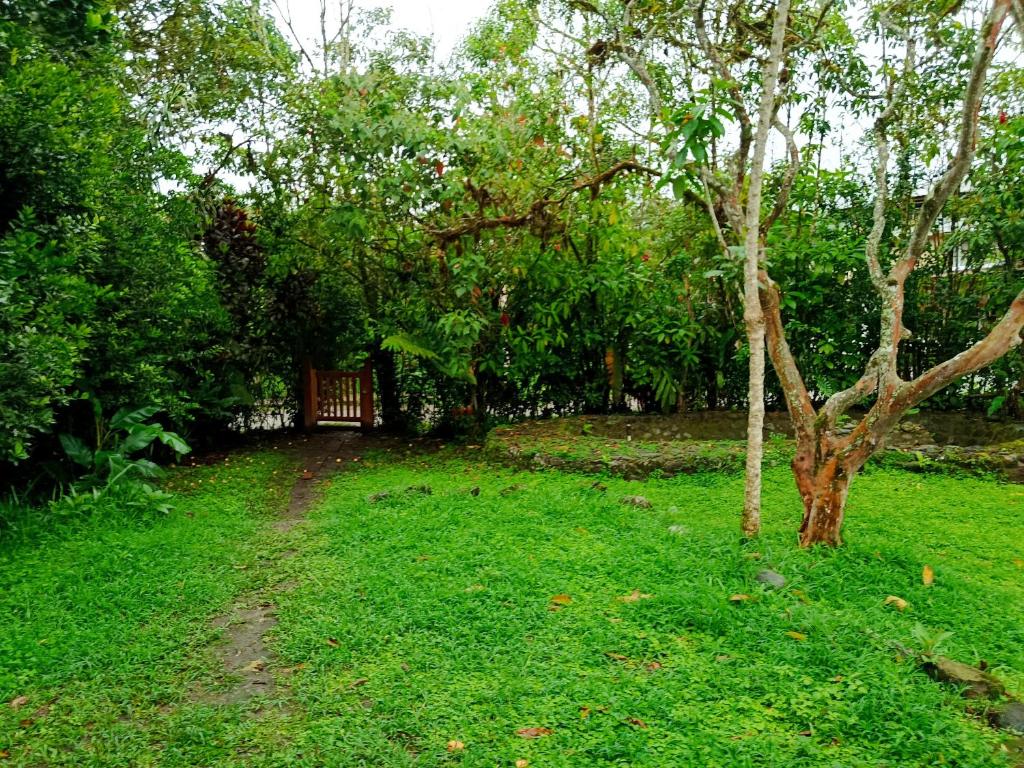 Casa El Trapiche de Mindo - 4