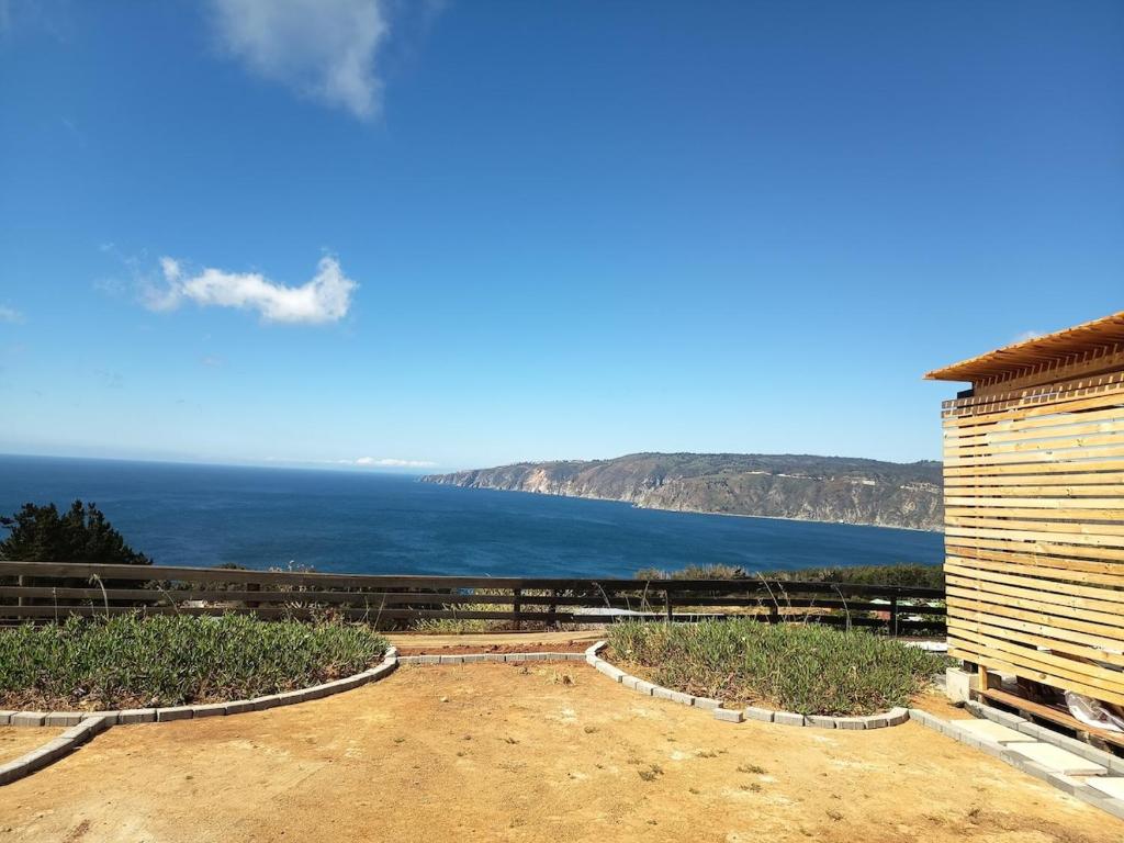 El Páramo Azul - 5