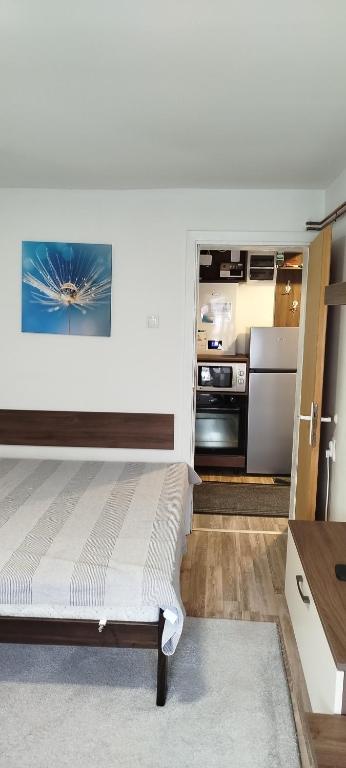 Apartman Vukašin - 3
