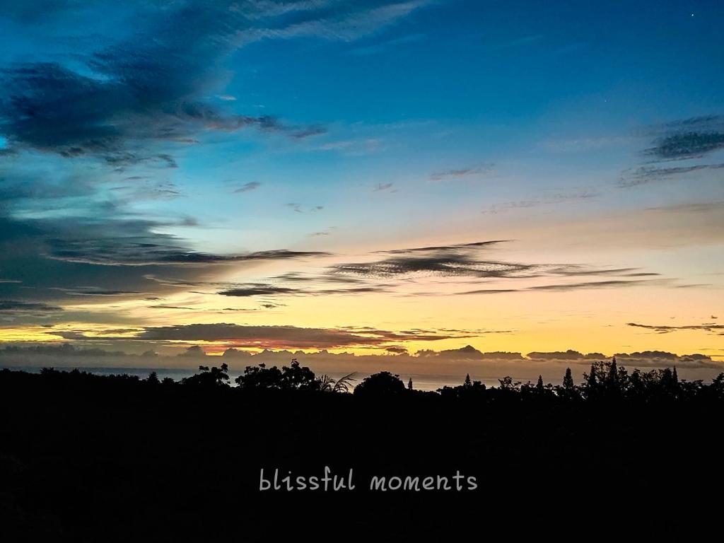 Blissful Moments