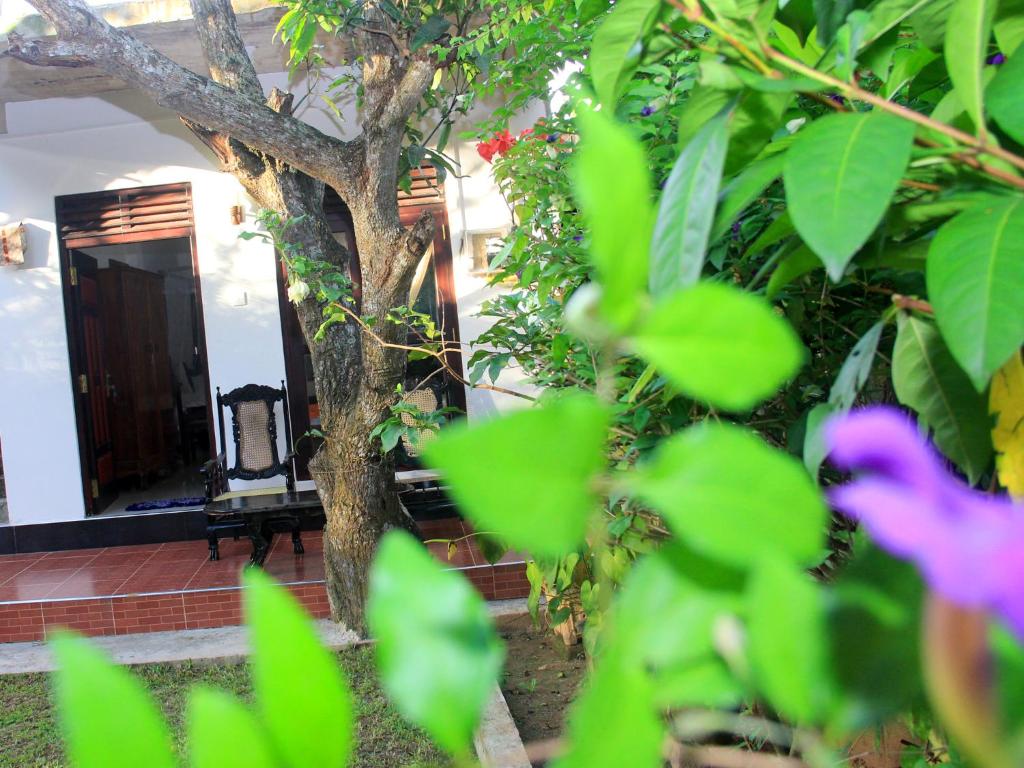 Lotus Villa photo