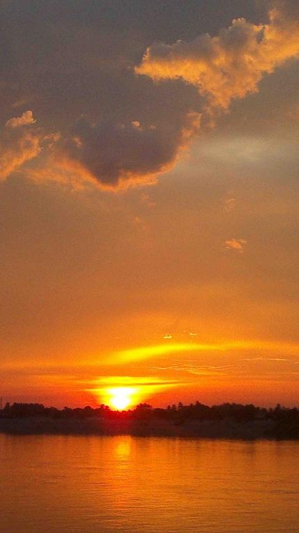 Surrounding environment