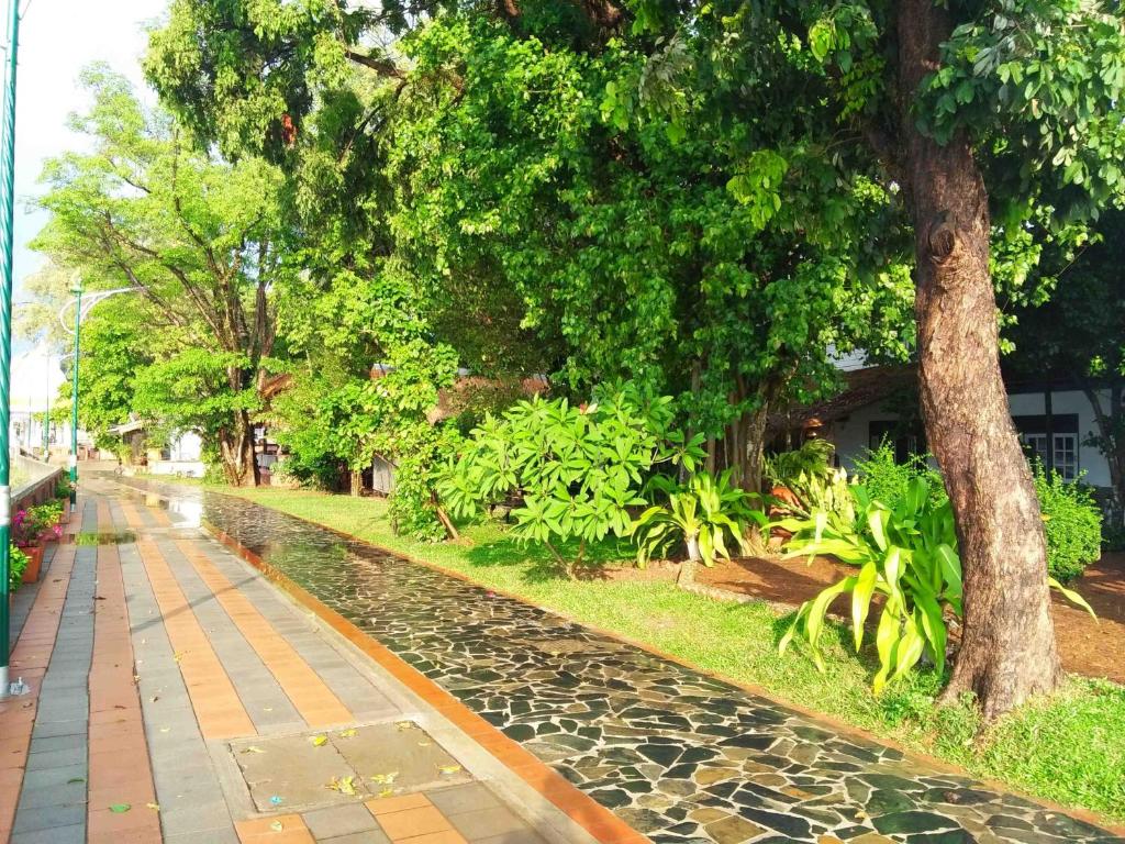 Surrounding environment