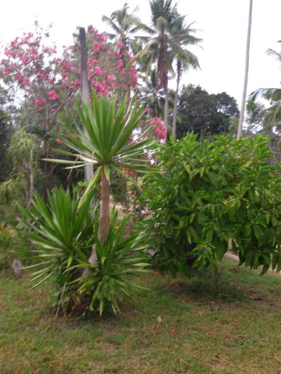 Surrounding environment