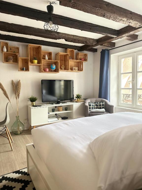 Central & Cosy Apartment Strasbourg City Center - 3