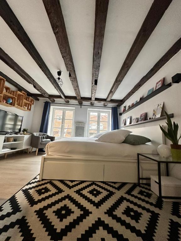 Central & Cosy Apartment Strasbourg City Center - 2