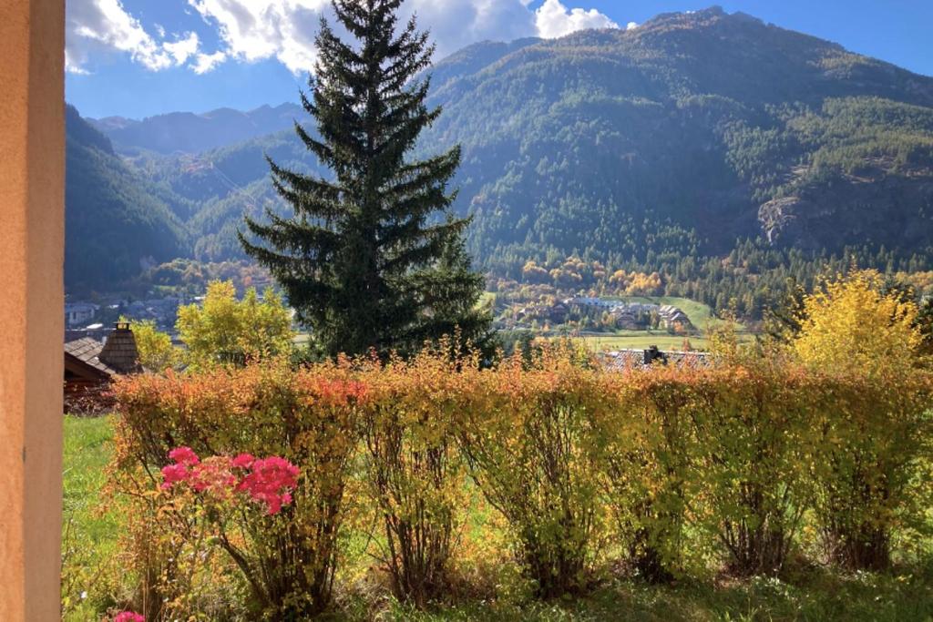 Appartement chaleureux avec vue sur les montagnes - 1