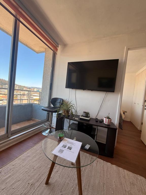 Vista Panorámica gran Concepción - 3