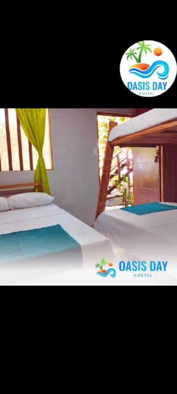 Hostal Oasis Day - 3