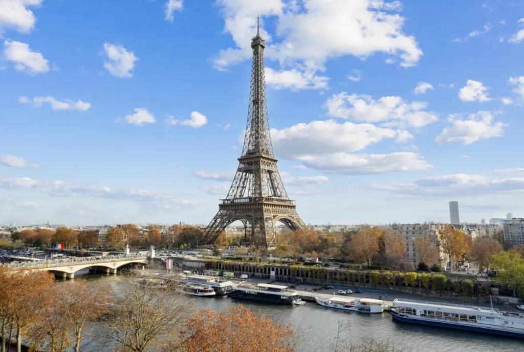 View on Eiffel Tower Seine and Main Monuments - 3