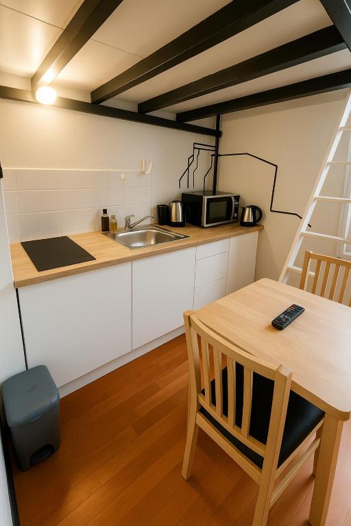 Studio Mabilay - Rennes Centre ville - 3