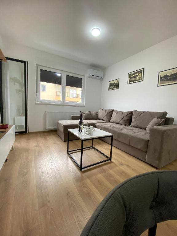 Vasiljević Apartman Koviljača - 1