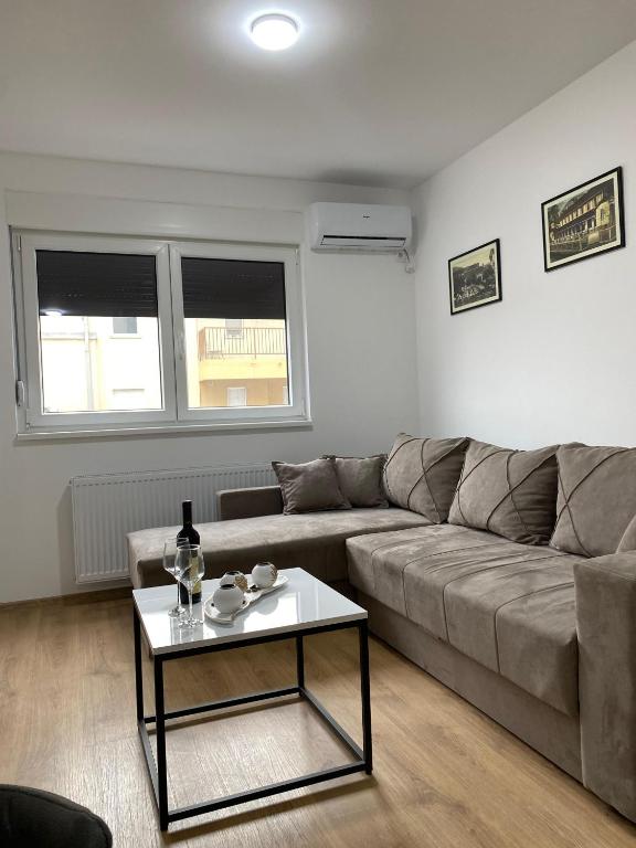 Vasiljević Apartman Koviljača - 3