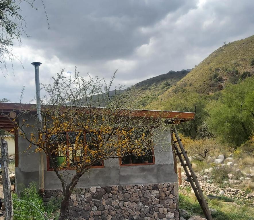 Pie de Sierra - 1
