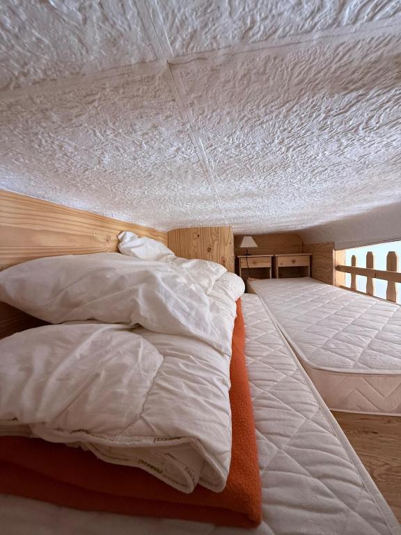 La Serena cozy studio in Saint Veran - 5
