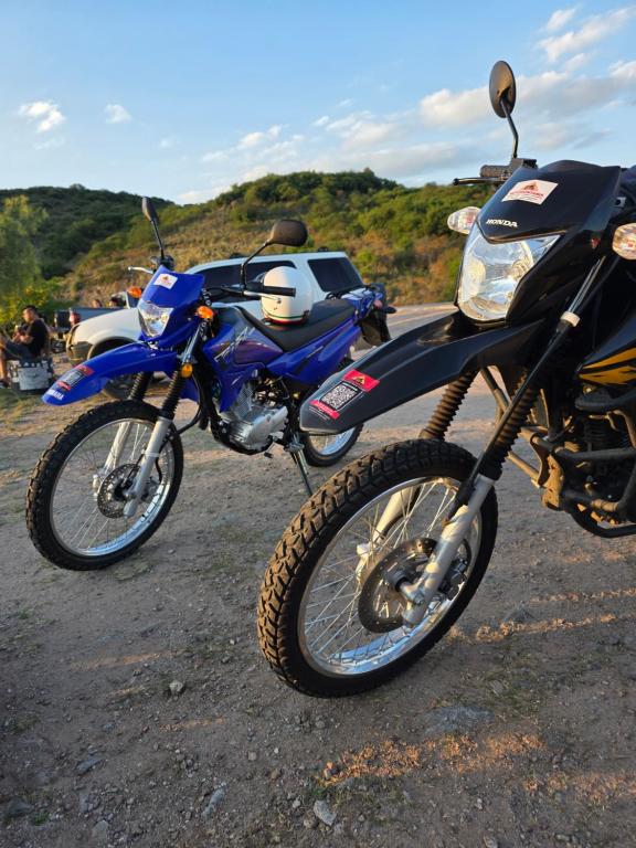 cabana Alba-Motomontania - 1