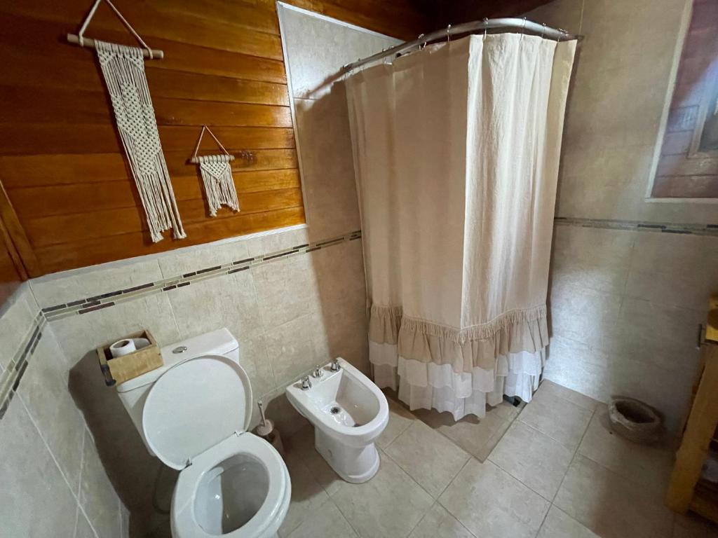 cabana Alba-Motomontania - 2