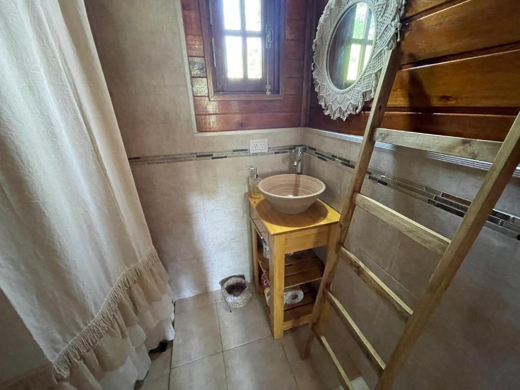 cabana Alba-Motomontania - 4