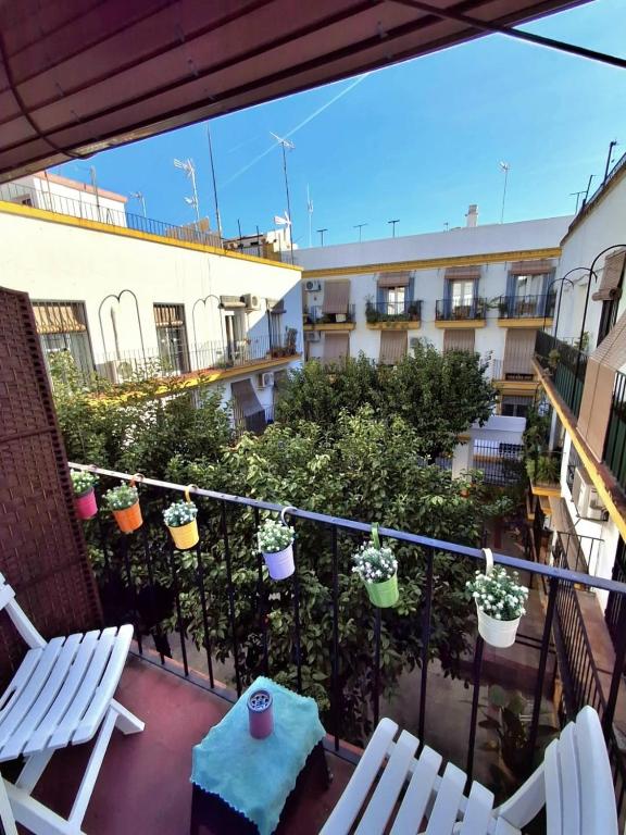 Roberta's Guest House - 3