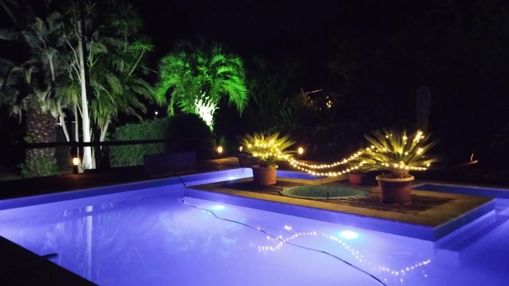 Guest House Peter Flanders - 5