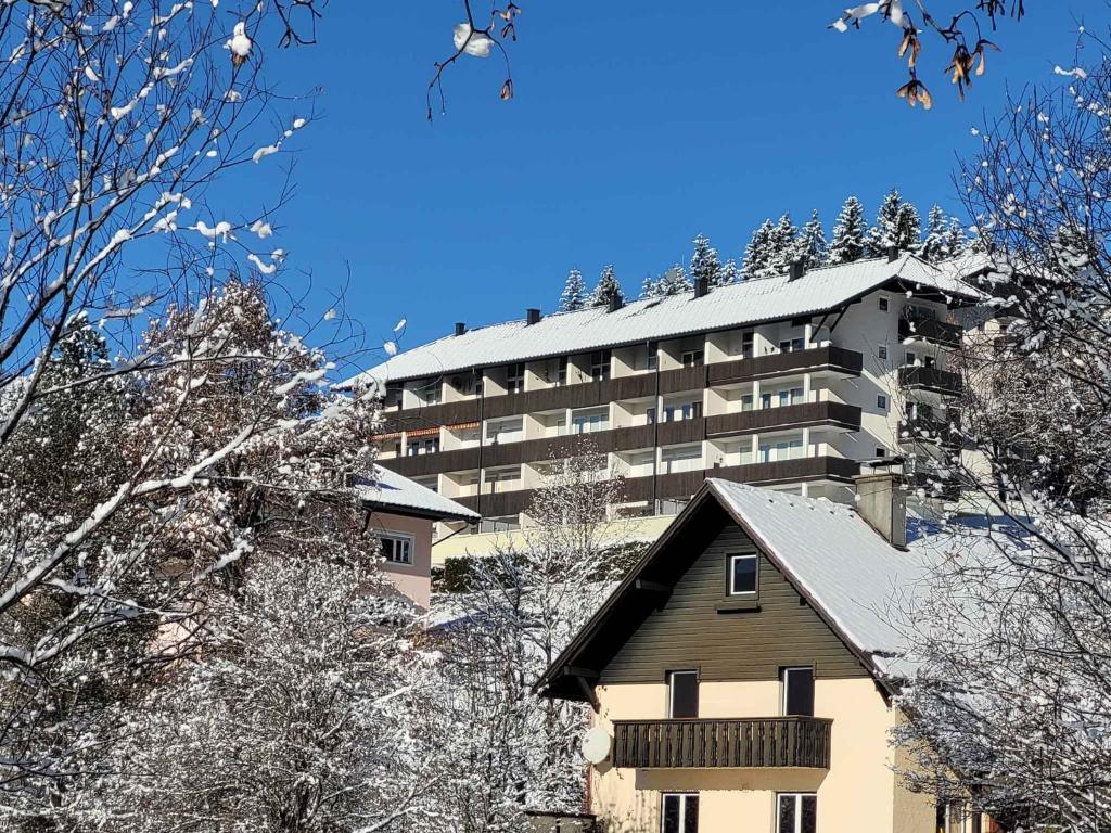 Apartment in Bad Mitterndorf - Steiermark 54982 - 3