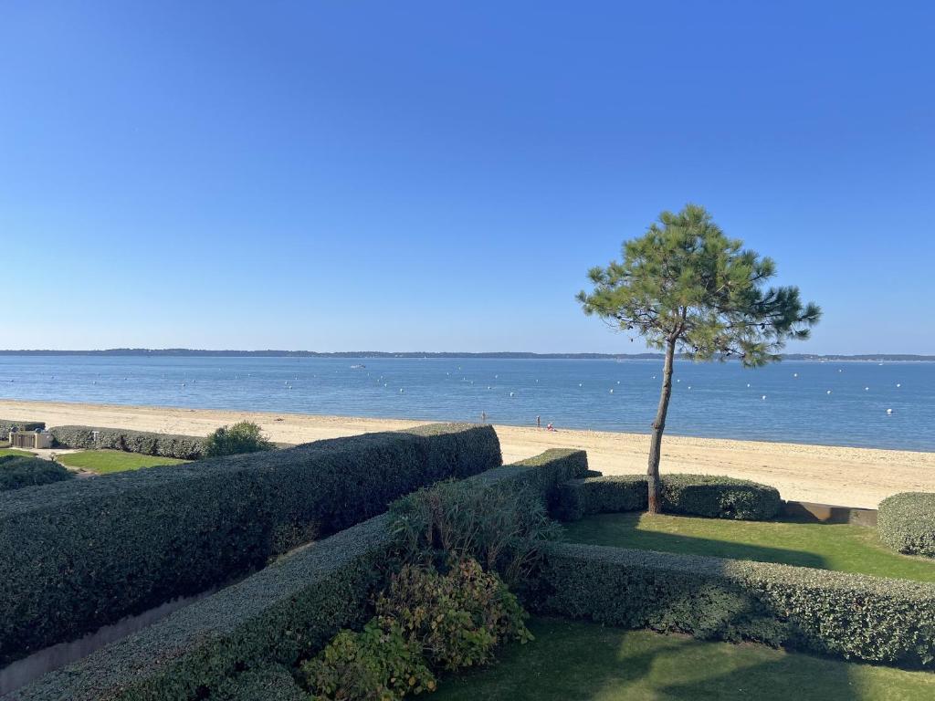 Studio en bord de mer avec accès direct à la plage et parking sécurisé - FR-1-474-288 - 3
