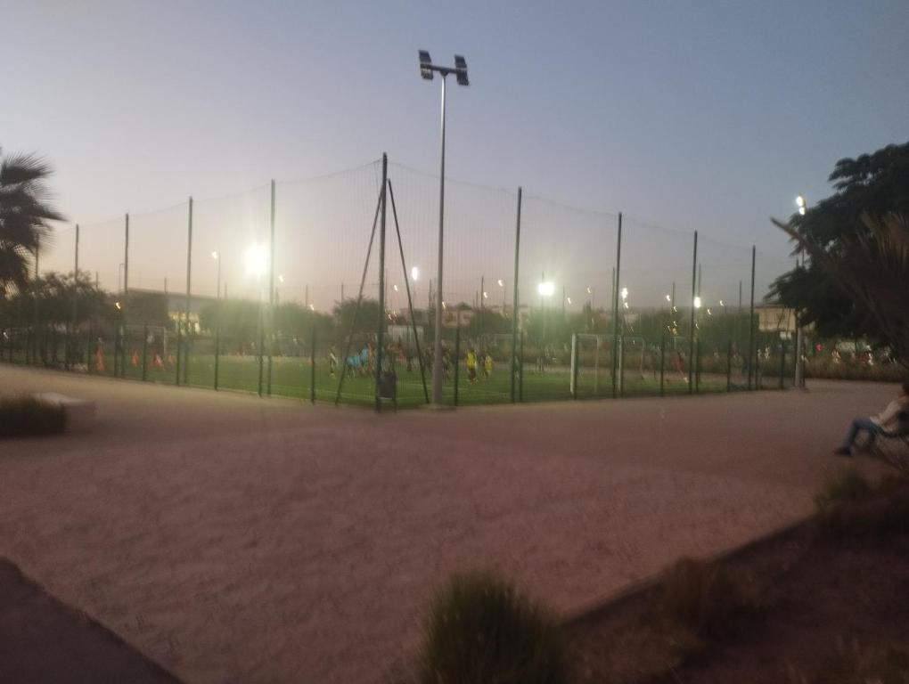 Ảnh 5