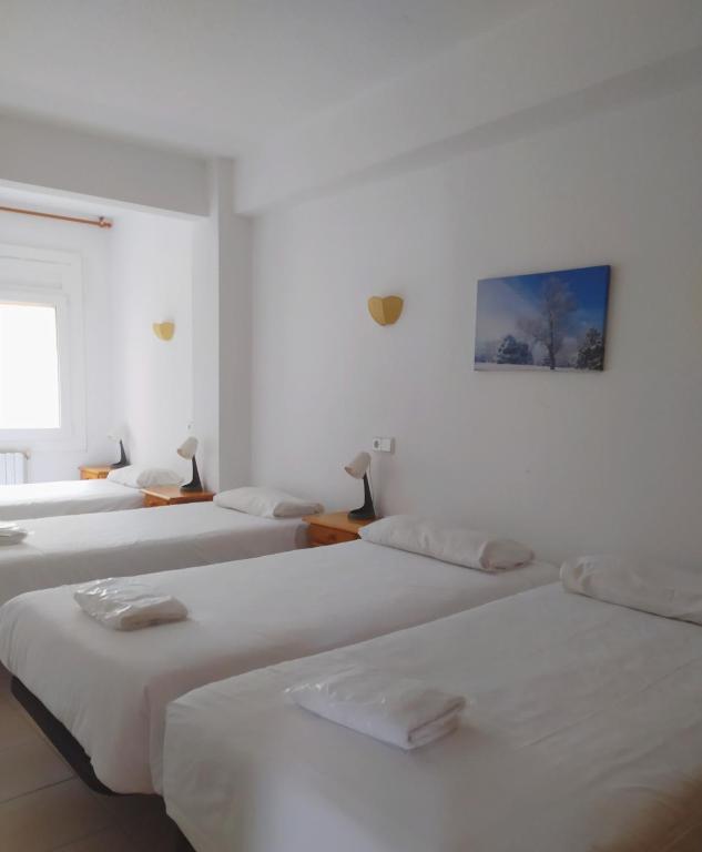 Apartaments Els Avets - 3