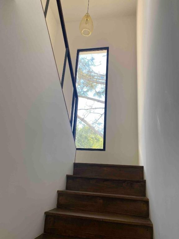 House in a Private Neighborhood of Arenas de José Ignacio - 5