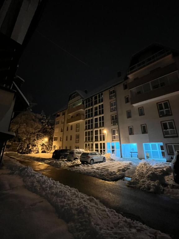 Apartman Nestoria Zlatibor - 2