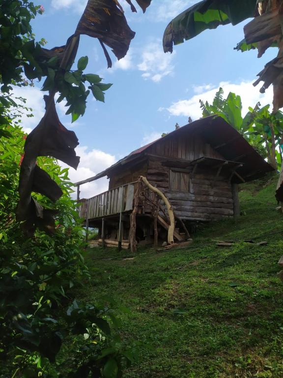 Ecocabaña Con Maloca cerca a Pijao Quindío - 2