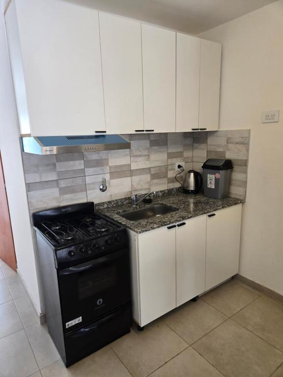 DEPARTAMENTO CENTRICO, PEATONAL, c - 4