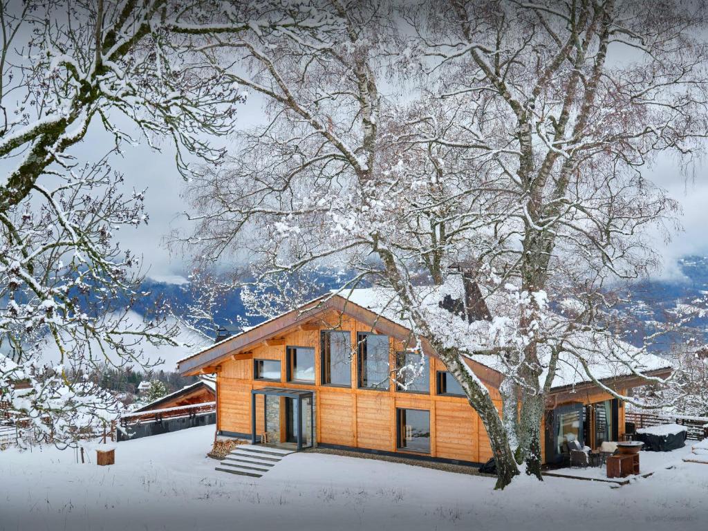 Chalet RevAlp - OVO Network - 1