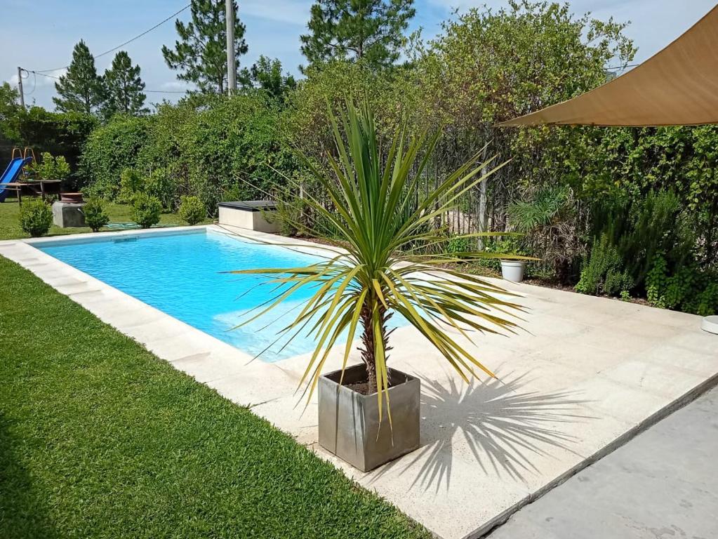 La Aldeana - 4