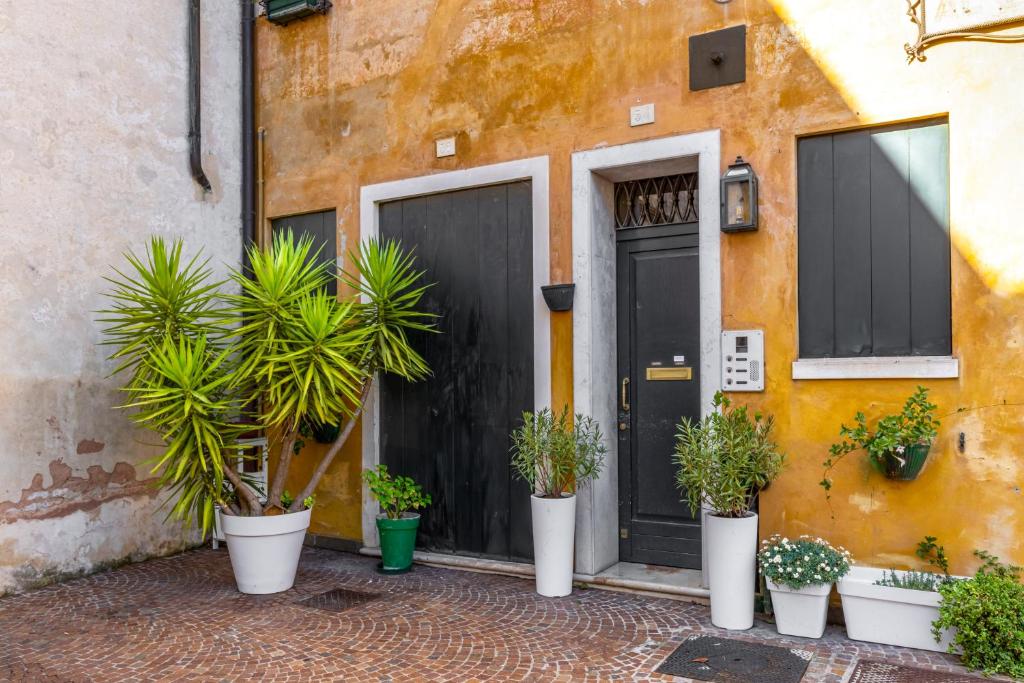 Borgo Cavour Santi40 - 4