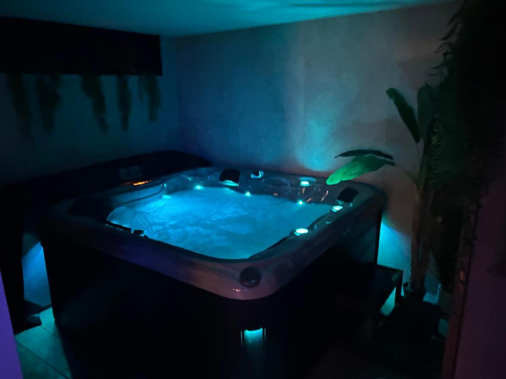 Thermo'Spa - Gîte Spa Privatif - 2